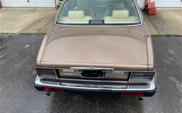 Jaguar-xj6-vanden-plas-1990-brown-3