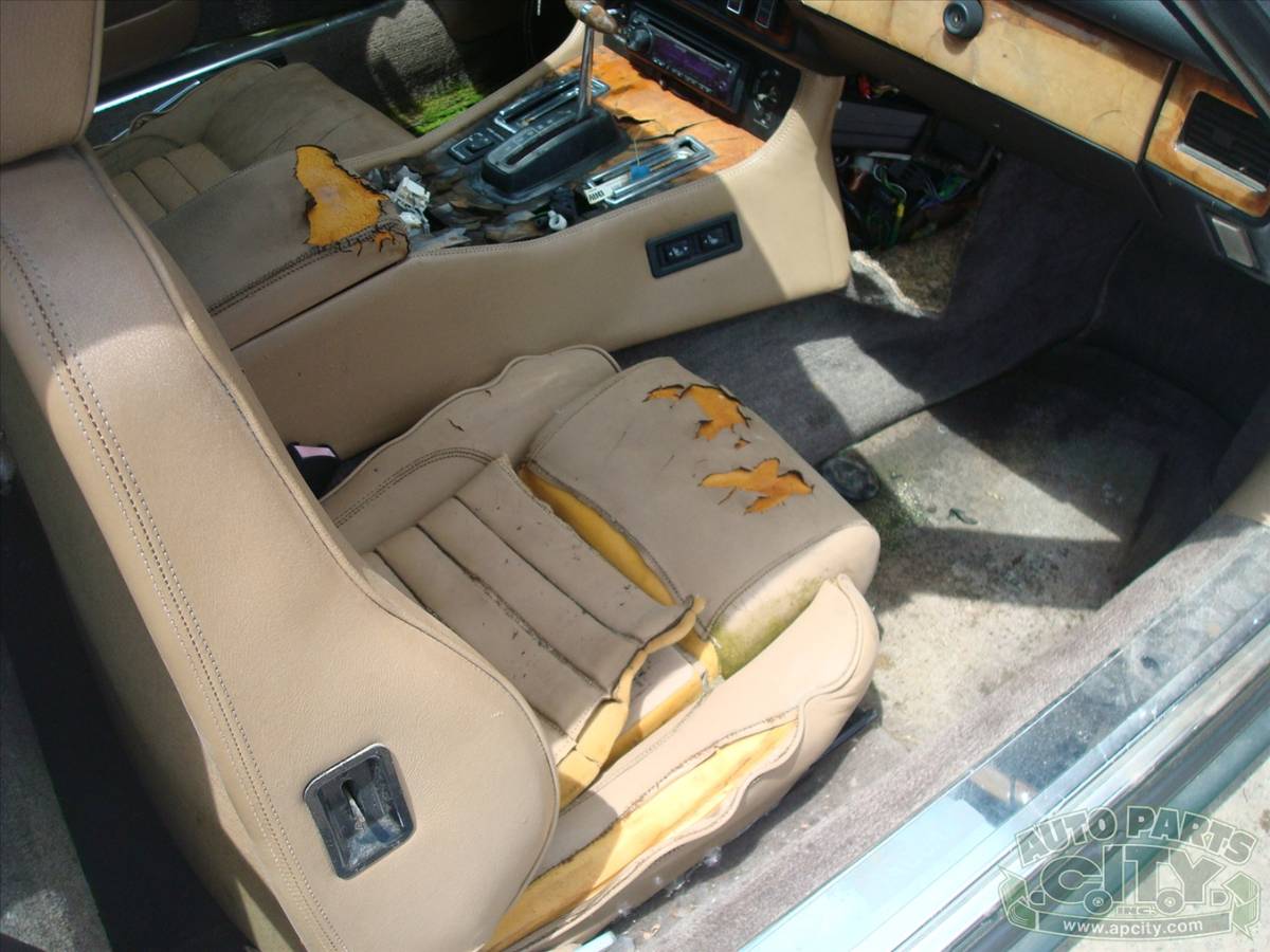 Jaguar-xjs-1989-green-12