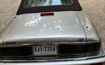 Jaguar-xjs-1994-brown-4