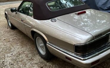 Jaguar-xjs-1994-brown-5