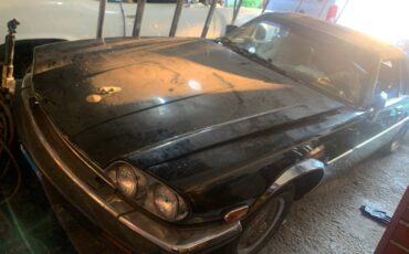 Jaguar-xjs-convertible-1991-black