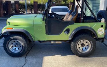 Jeep-1959-Green-Black-3