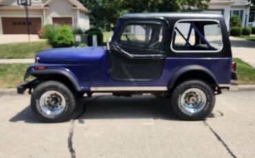 Jeep-1980-purple-2