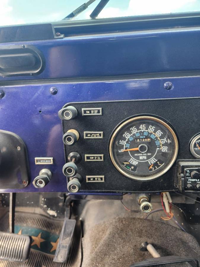 Jeep-1980-purple-4