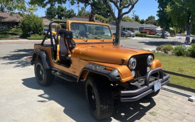 Jeep CJ 1976 SUV