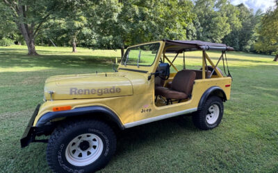 Jeep CJ 1978 SUV