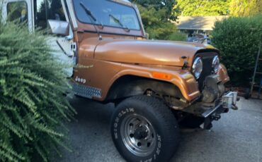 Jeep-CJ-1978-Utility-14