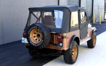 Jeep-CJ-1979-Convertible-7
