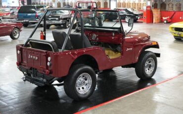 Jeep-CJ-5-4x4-1973-Jeep-14