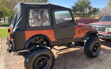 Jeep-CJ-7-1979-11