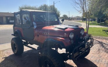 Jeep-CJ-7-1979-9