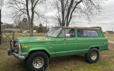 Jeep-Cherokee-1974-Green-2