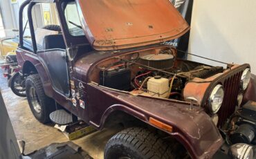 Jeep-Cj5-1972-Burgandy-Black-4
