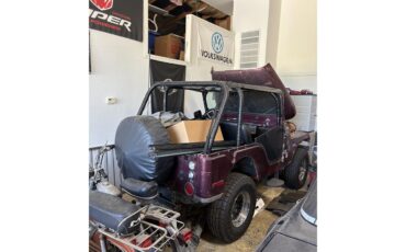 Jeep-Cj5-1972-Burgandy-Black-7