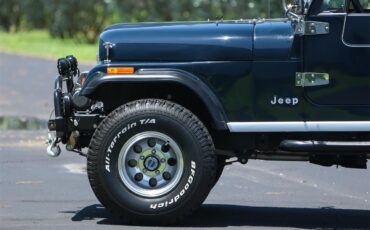 Jeep-Cj7-1983-Blue-Gray-29