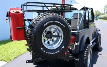 Jeep-Cj7-1983-Blue-Gray-90