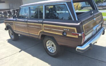 Jeep-Grand-Wagoneer-1989-SUV-2