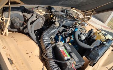 Jeep-J10-1981-Standard-Cab-Pickup-8