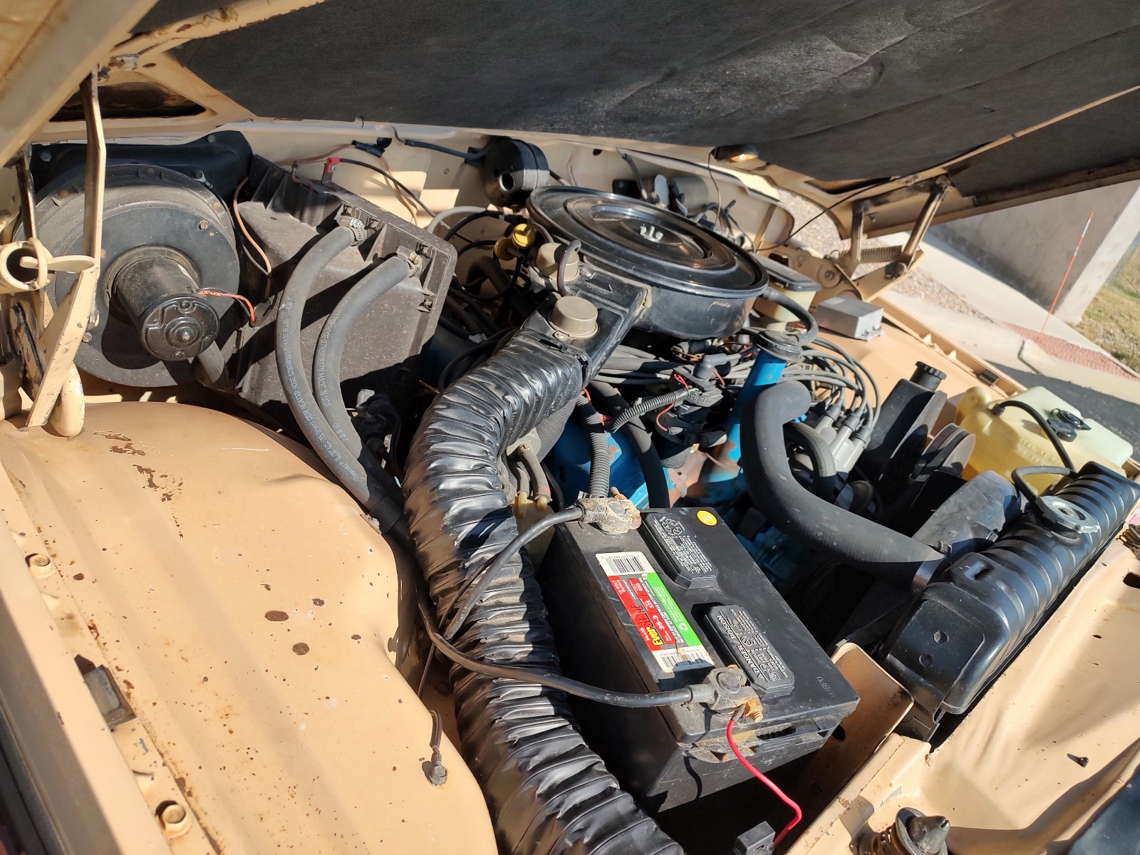Jeep-J10-1981-Standard-Cab-Pickup-8