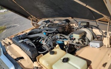 Jeep-J10-1981-Standard-Cab-Pickup-9