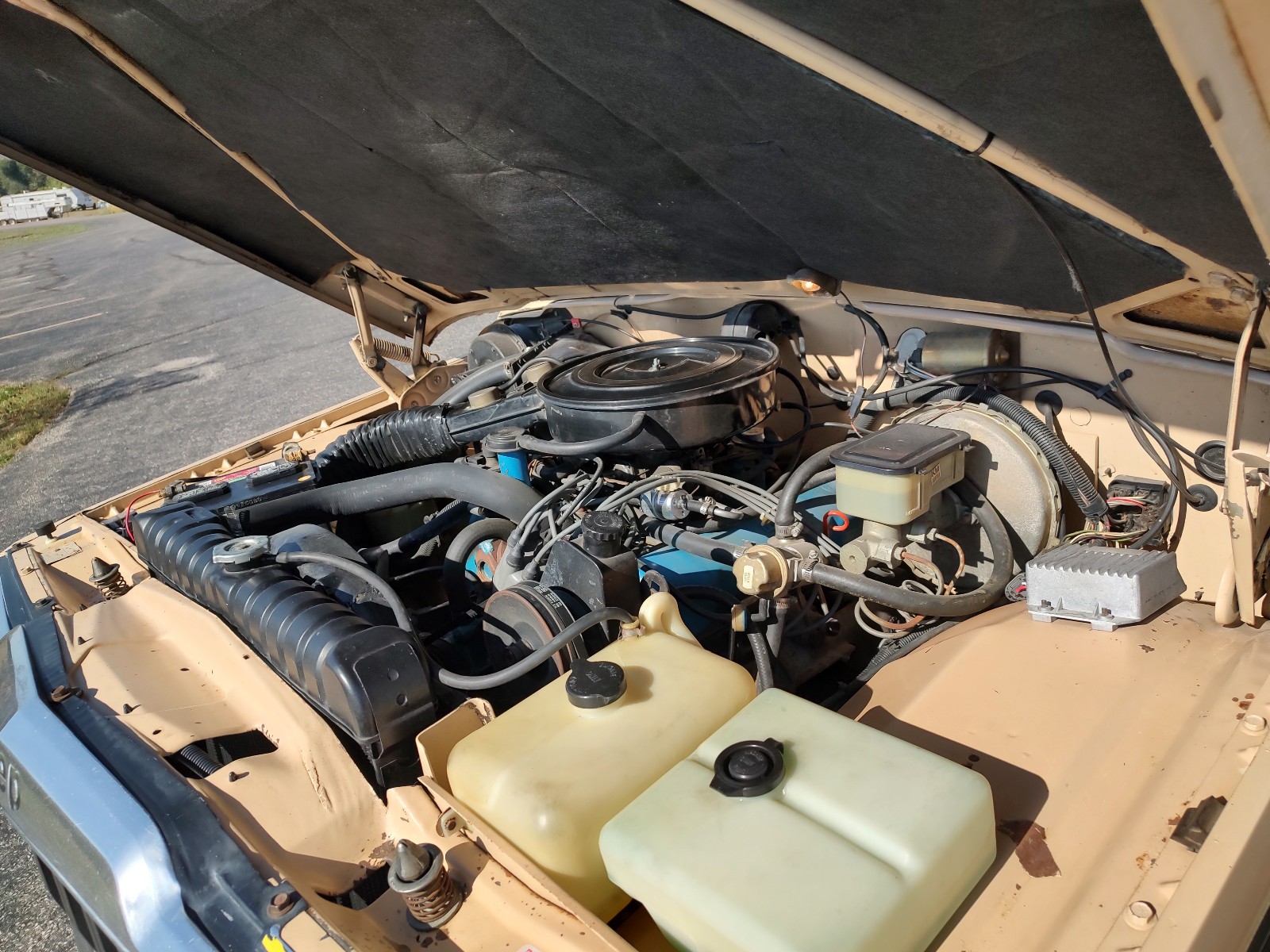 Jeep-J10-1981-Standard-Cab-Pickup-9