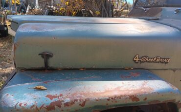 Jeep-Jeep-Willy-1960-14