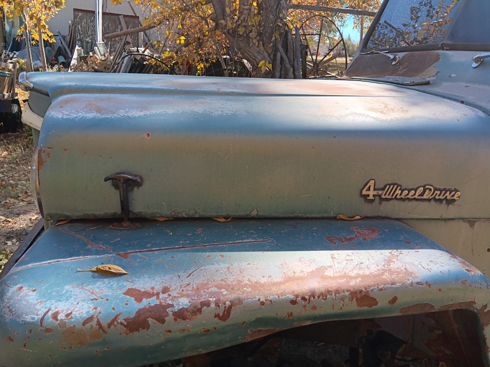 Jeep-Jeep-Willy-1960-14