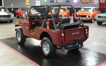 Jeep-Other-1973-Maroon-Tan-13