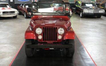 Jeep-Other-1973-Maroon-Tan-18