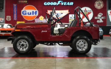 Jeep-Other-1973-Maroon-Tan-20