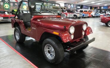 Jeep-Other-1973-Maroon-Tan-3