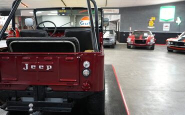 Jeep-Other-1973-Maroon-Tan-32