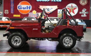 Jeep-Other-1973-Maroon-Tan-46