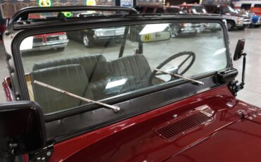 Jeep-Other-1973-Maroon-Tan-48