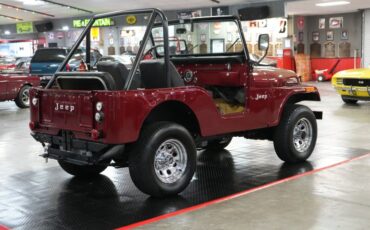 Jeep-Other-1973-Maroon-Tan-7