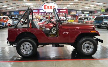Jeep-Other-1973-Maroon-Tan-8