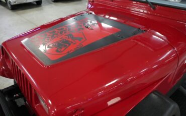 Jeep-Other-1982-Red-Black-32