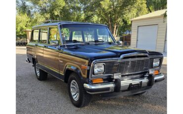 Jeep-Wagoneer-1983-Blue-Rust-10