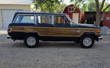 Jeep-Wagoneer-1983-Blue-Rust-11