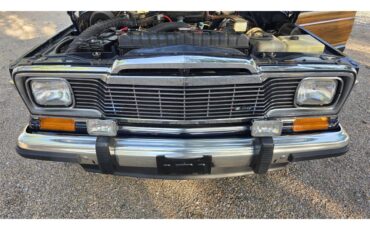 Jeep-Wagoneer-1983-Blue-Rust-15