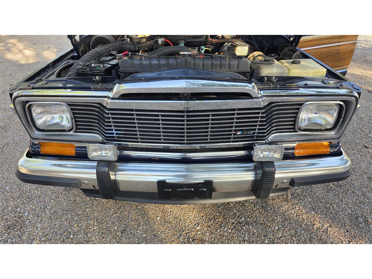 Jeep-Wagoneer-1983-Blue-Rust-15