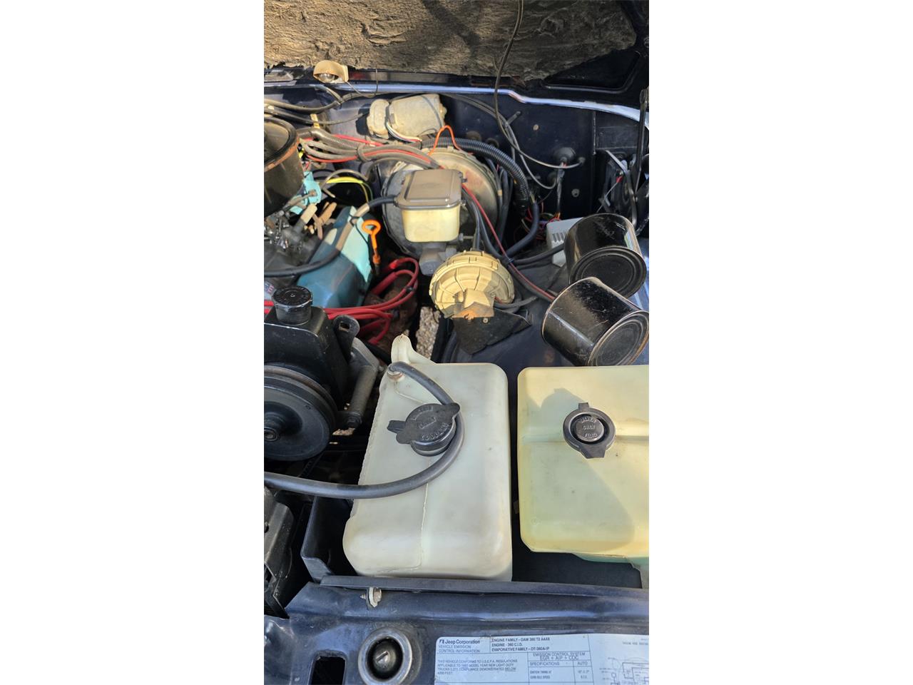 Jeep-Wagoneer-1983-Blue-Rust-18