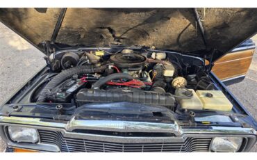 Jeep-Wagoneer-1983-Blue-Rust-6