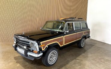 Jeep-Wagoneer-1989-SUV-5