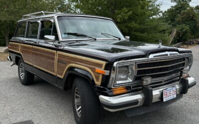 Jeep Wagoneer 1991 Wagon