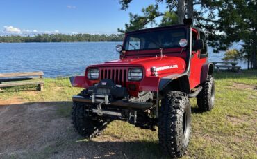 Jeep-Wrangler-1994-SUV-8