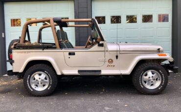 Jeep-Wrangler-1995-Convertible-11