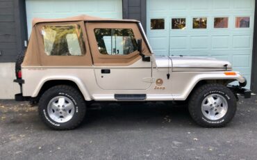 Jeep-Wrangler-1995-Convertible-13