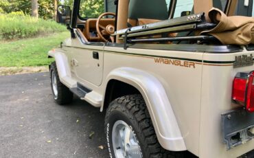 Jeep-Wrangler-1995-Convertible-14
