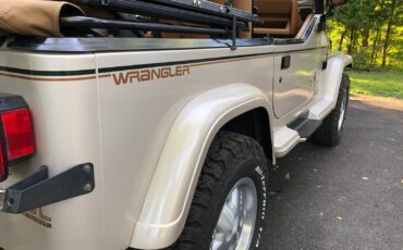 Jeep-Wrangler-1995-Convertible-19